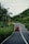 A bright red vehicle travels on a winding road surrounded by lush green foliage and palm trees. The road sign indicating a curve is visible. The sky is overcast, adding a serene and tranquil atmosphere to the scene.