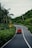 A bright red vehicle travels on a winding road surrounded by lush green foliage and palm trees. The road sign indicating a curve is visible. The sky is overcast, adding a serene and tranquil atmosphere to the scene.