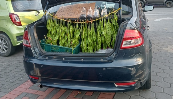 A car with its trunk open is parked on the street. Fresh green petai pods are hanging from the trunk, displayed for sale. A sign inside the trunk mentions pricing details in Malaysian Ringgit. Nearby, another car is parked with a light green color.