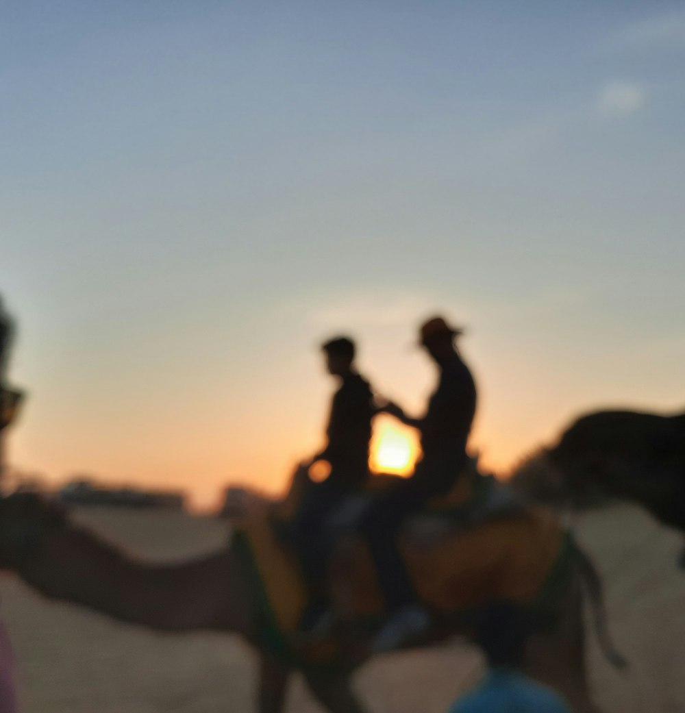 a group of people riding on the back of a camel