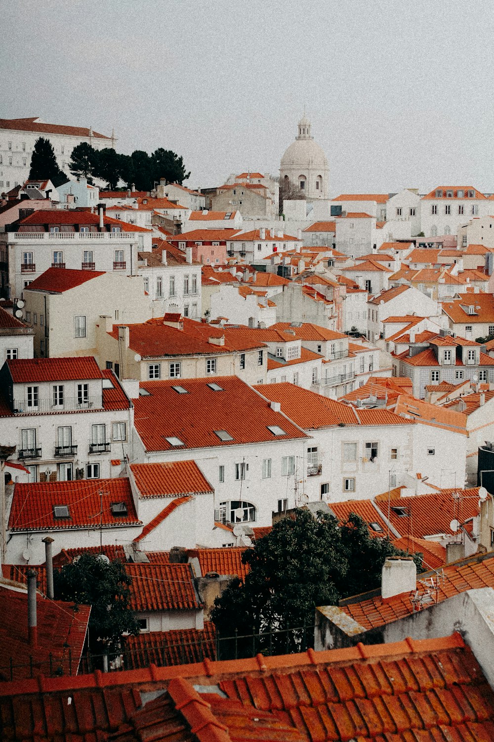 a view of a city with red roofs