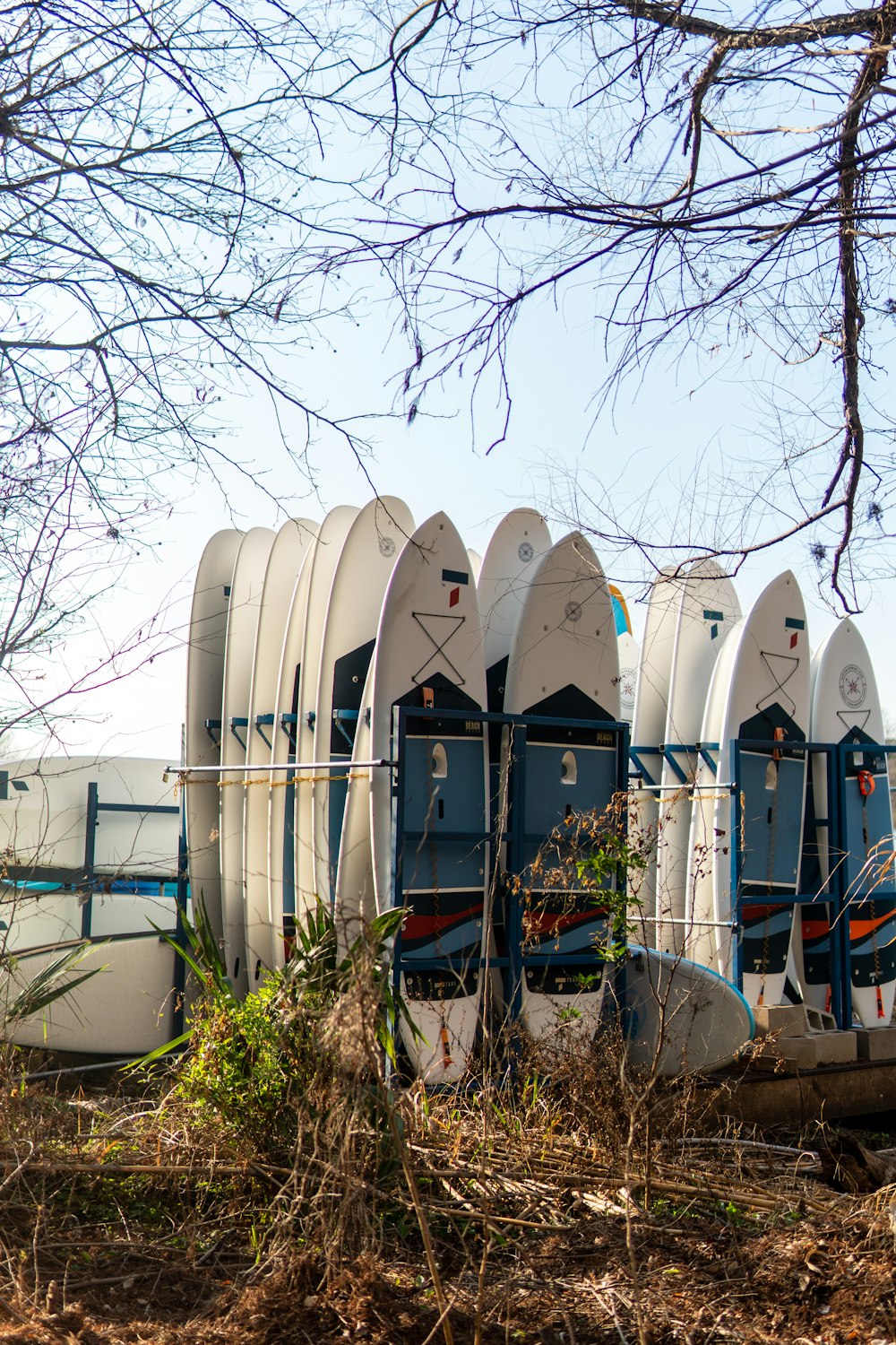 a row of surfboards sitting next to each other