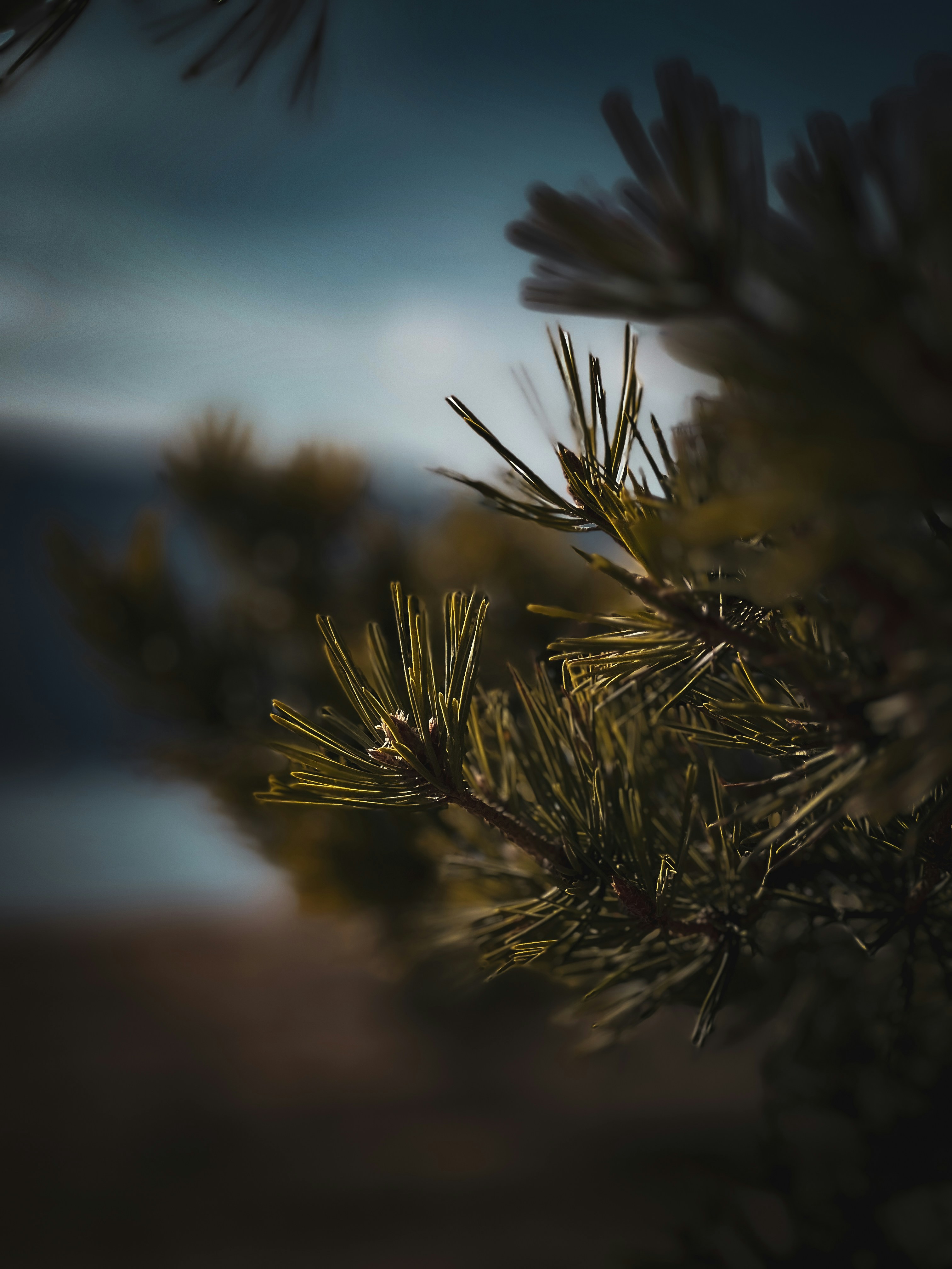 Photo by enerdjy