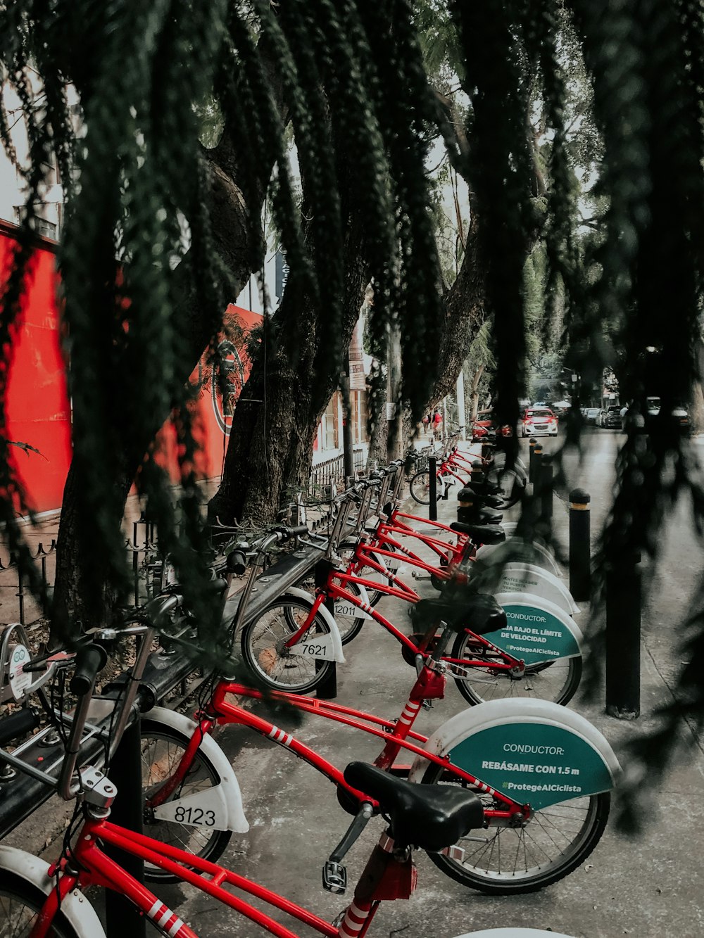 a row of red bikes parked next to each other