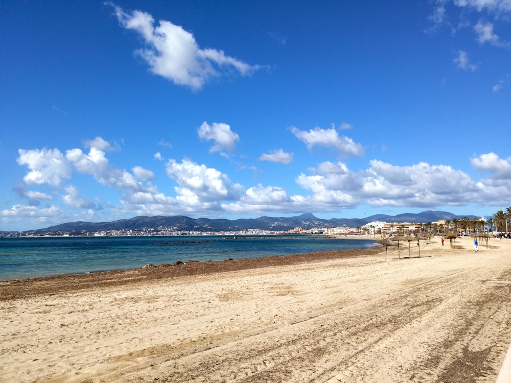 a sandy beach next to the ocean under a blue sky