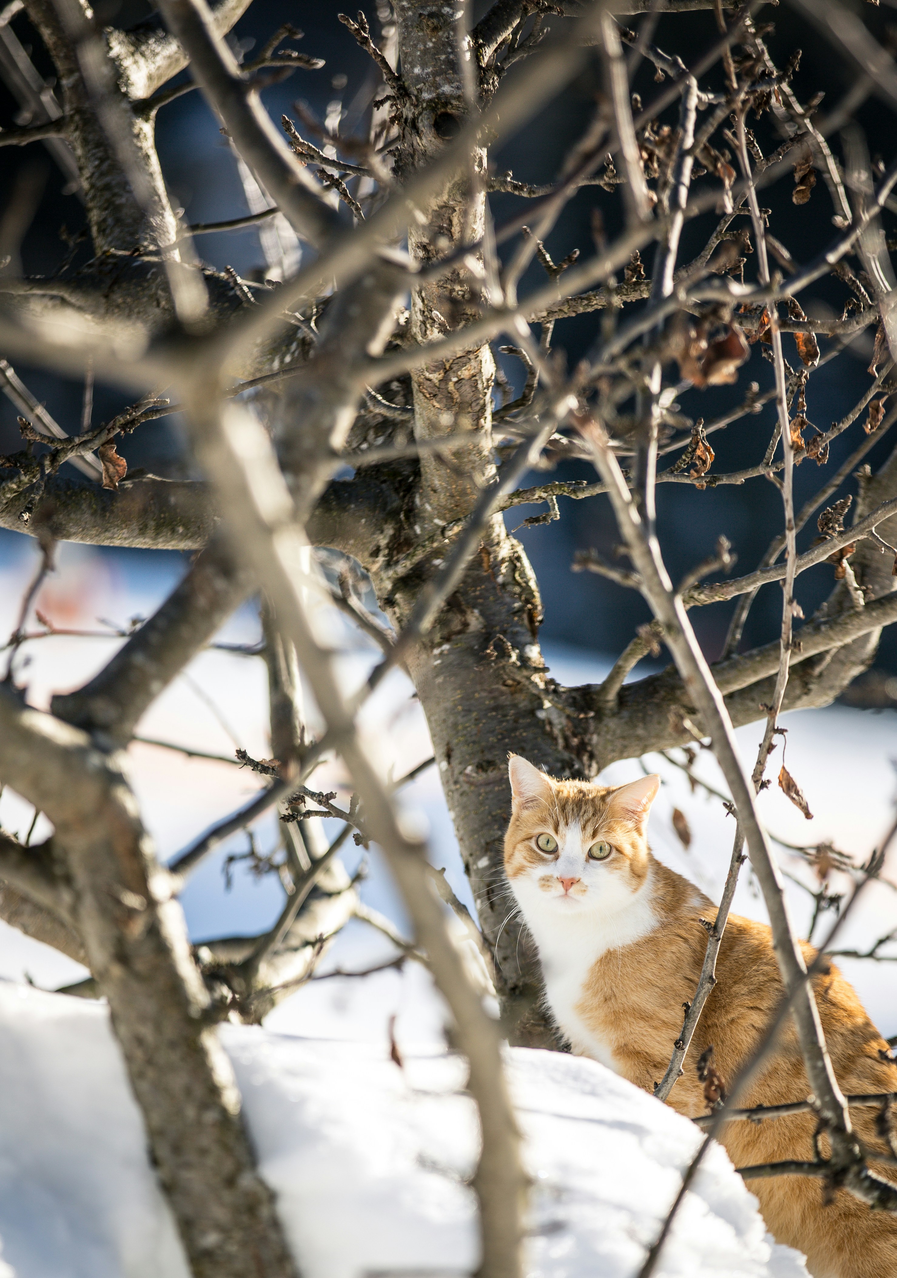Photo by egon78