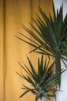 nettoyage de textiles d'intérieur  à casablanca