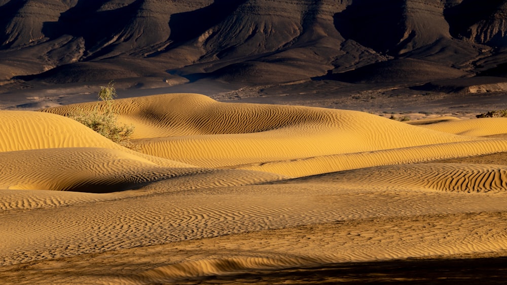 a desert landscape with sand dunes and mountains in the background