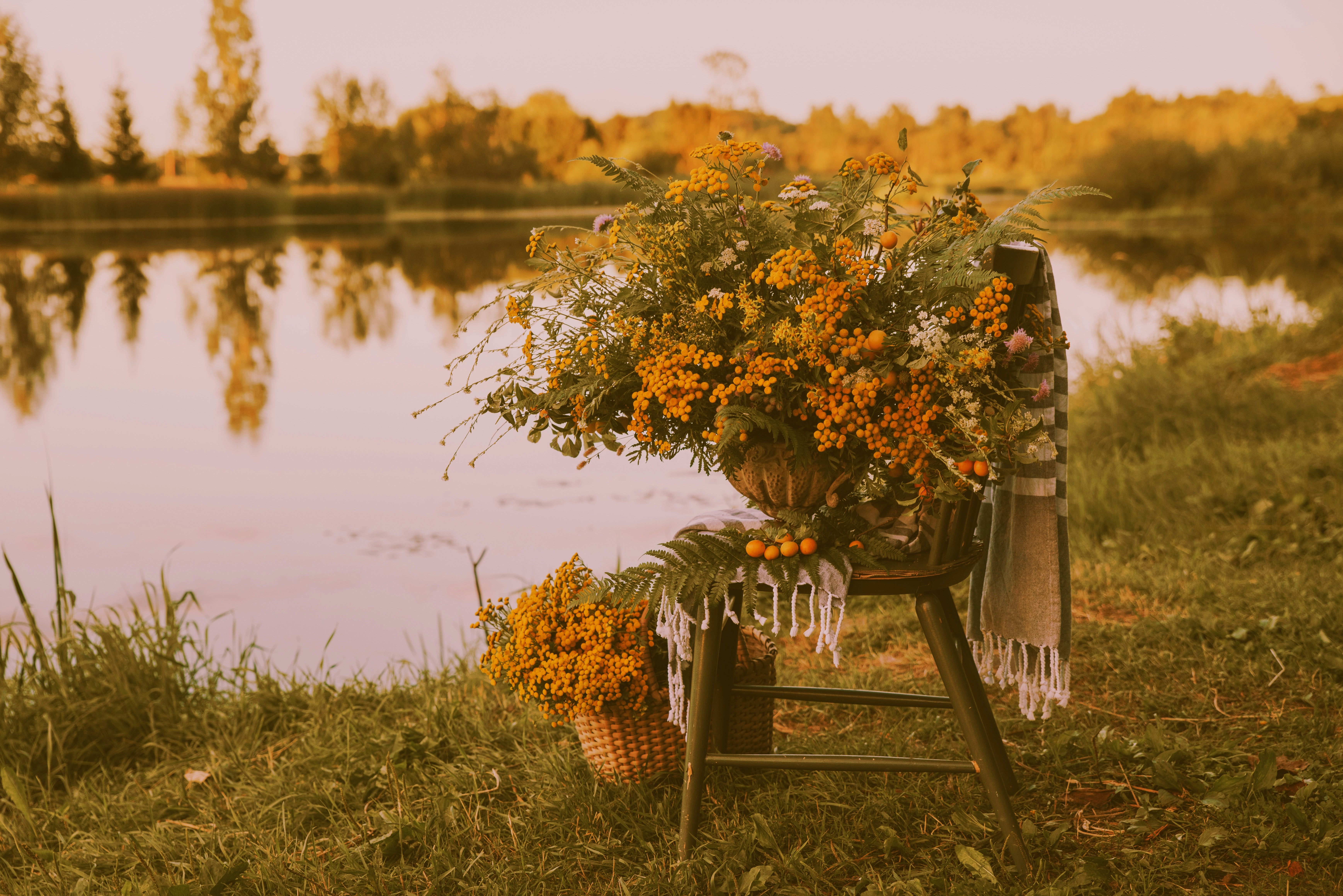 Photo by anitaaustvika