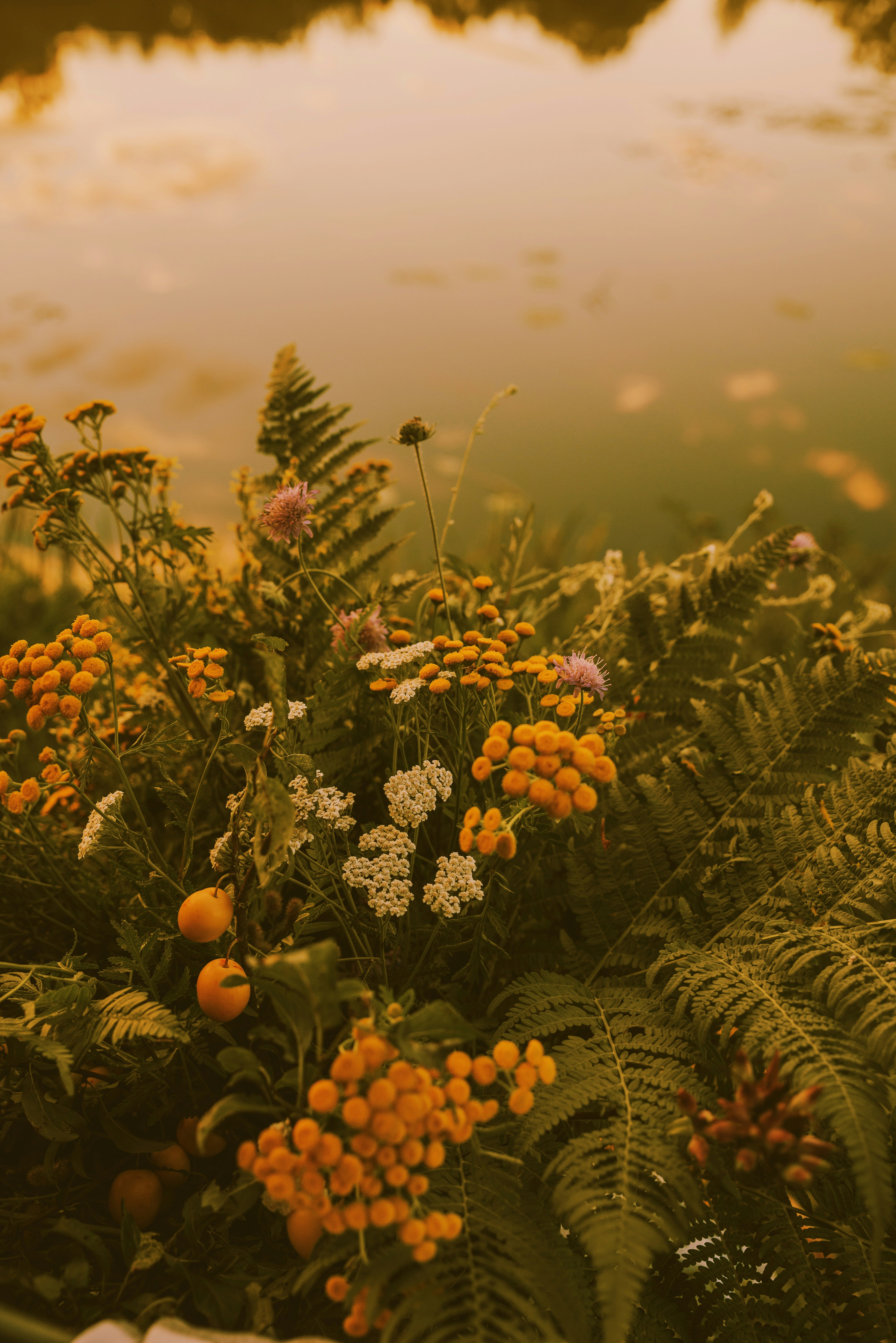 Photo by anitaaustvika