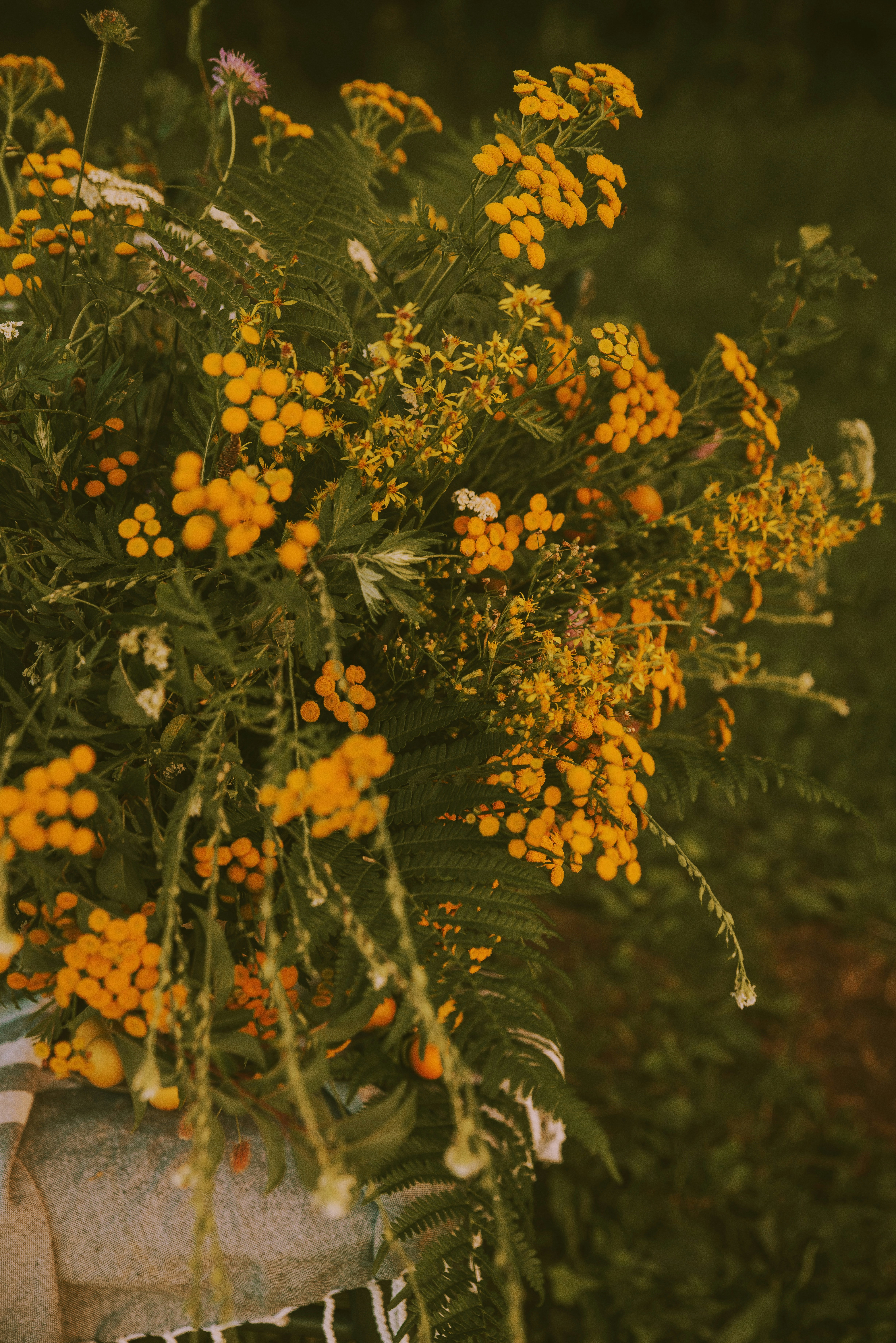 Photo by anitaaustvika