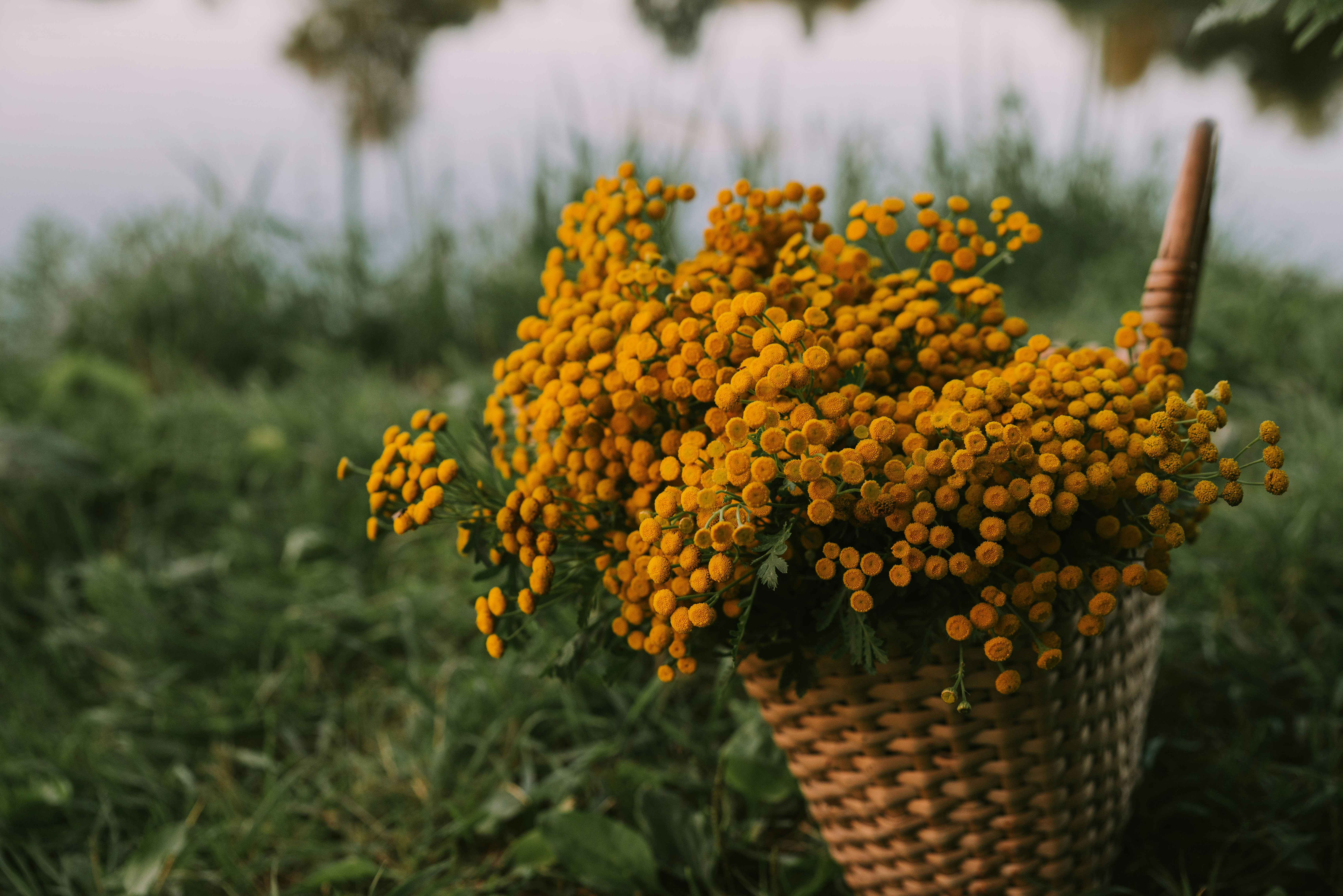 Photo by anitaaustvika