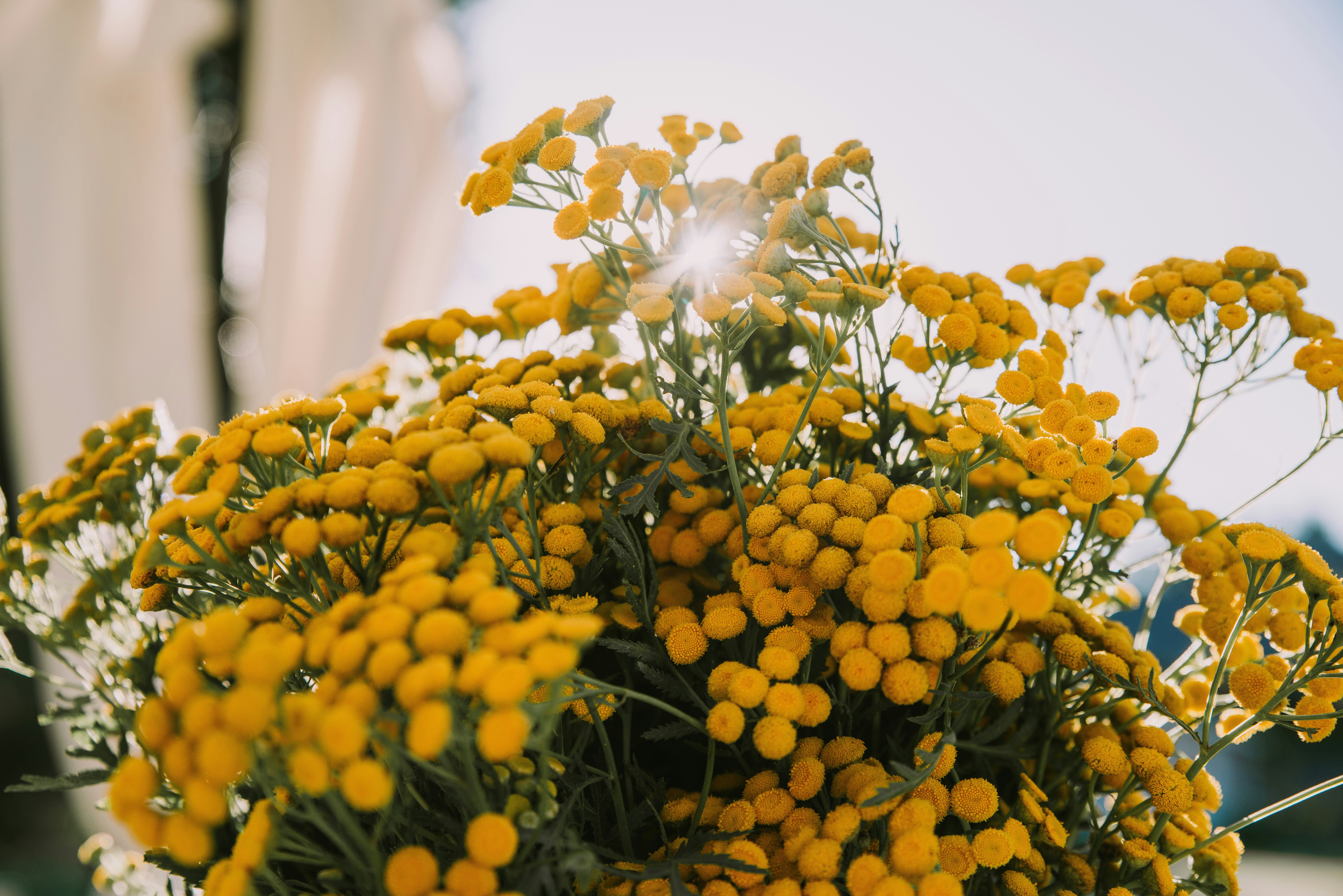 Photo by anitaaustvika