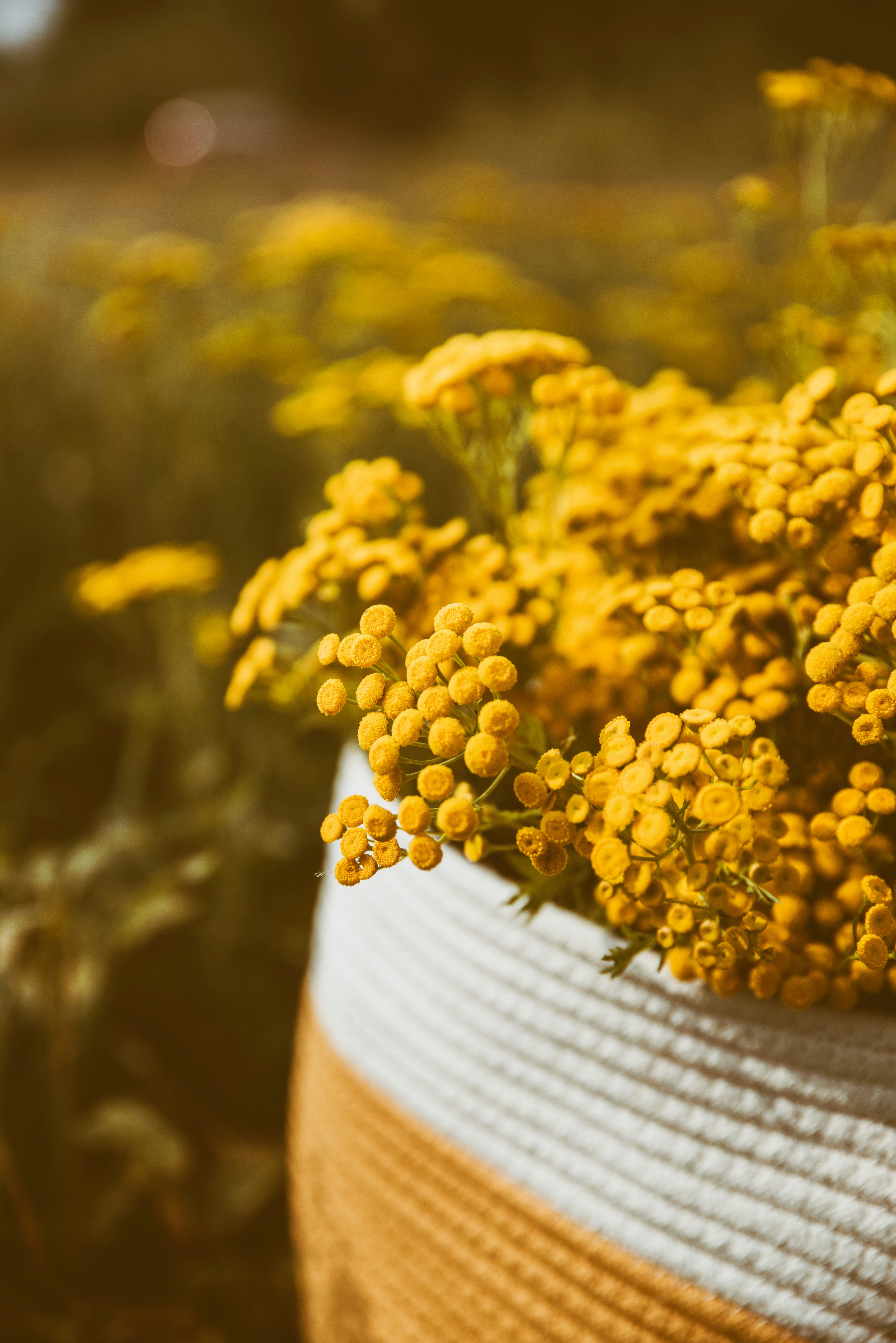 Photo by anitaaustvika