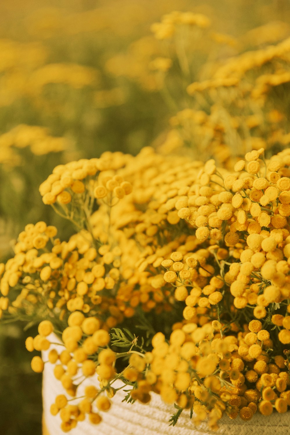 a basket filled with lots of yellow flowers