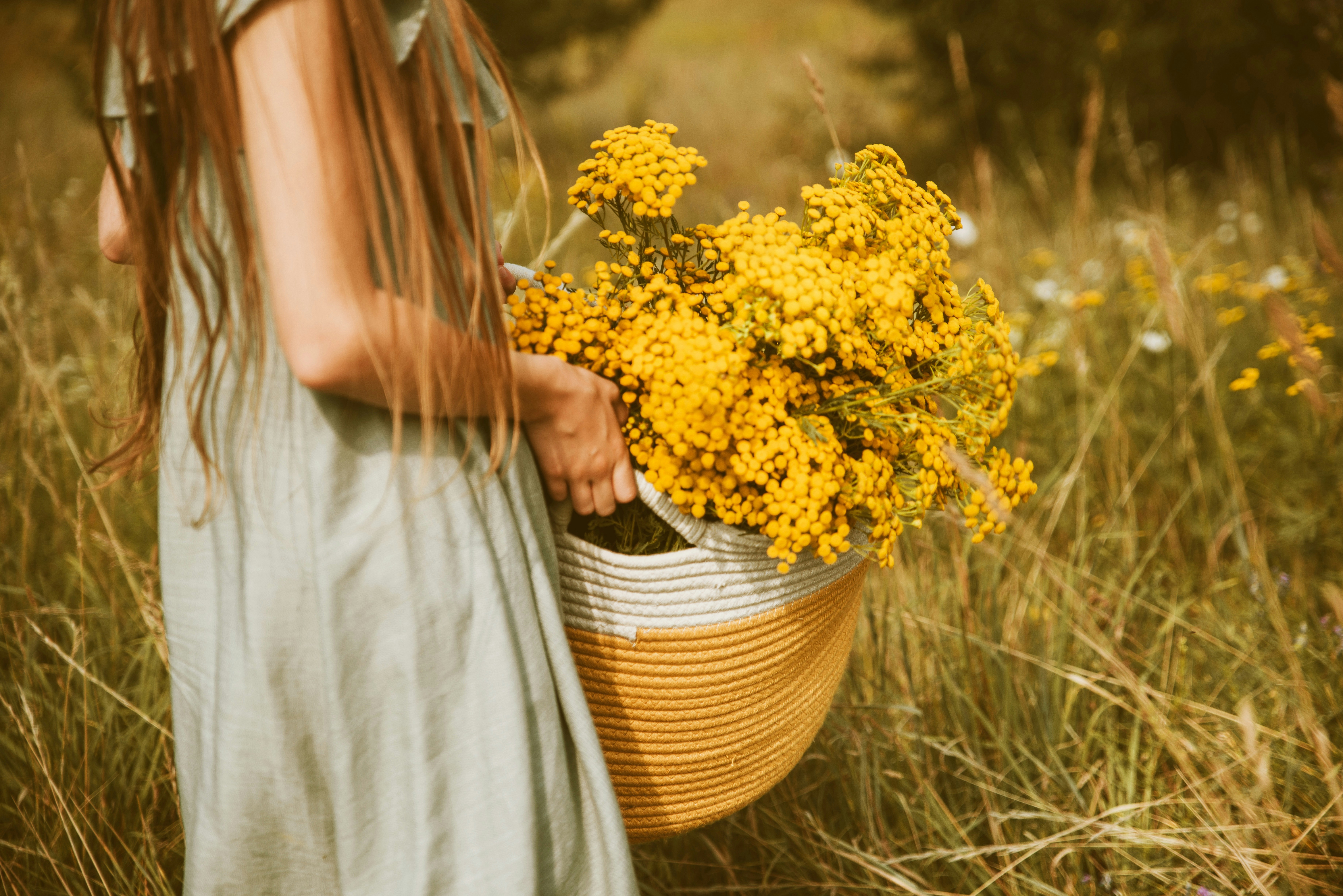 Photo by anitaaustvika