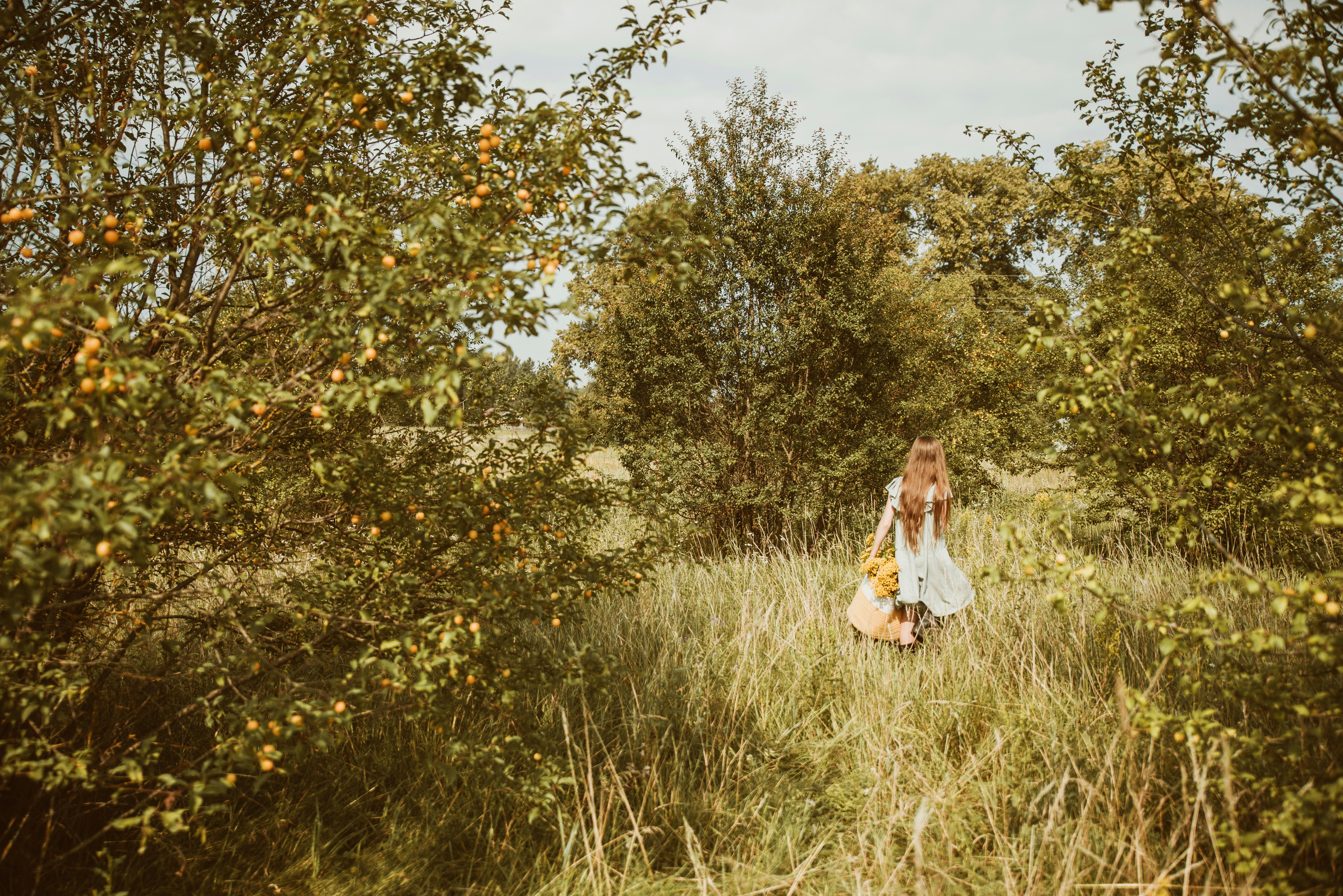 Photo by anitaaustvika