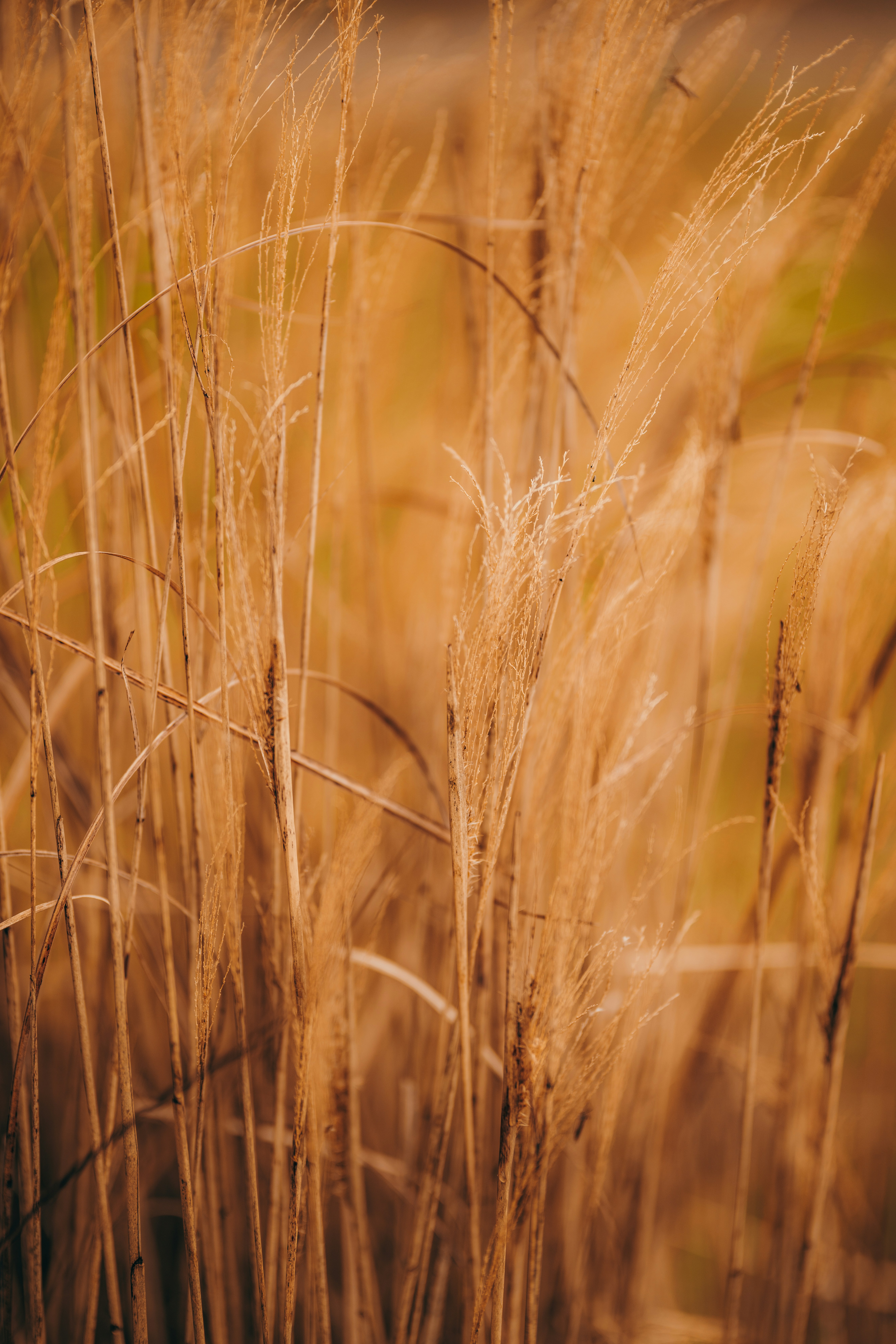 Photo by colemangloverphotography