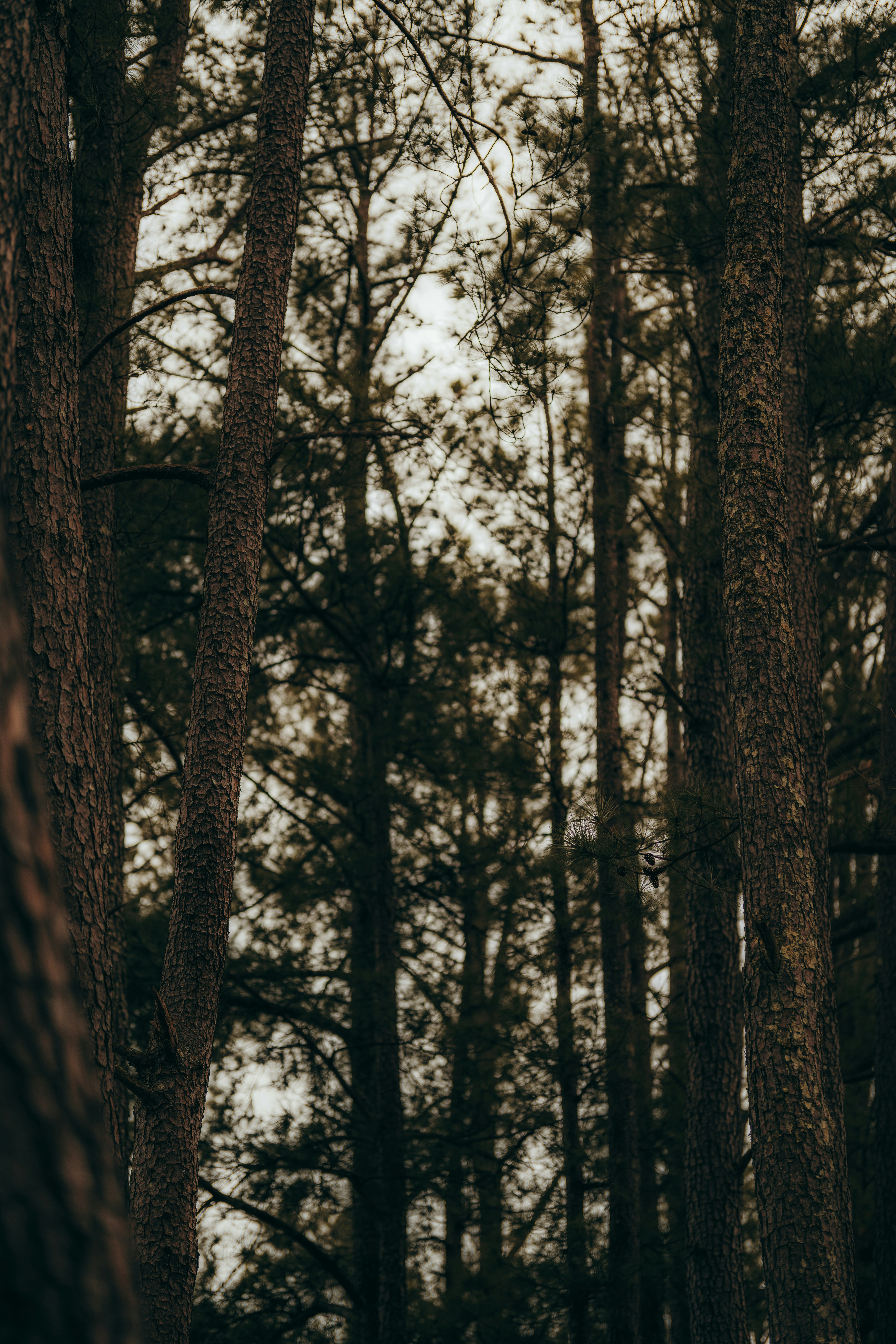 Photo by colemangloverphotography