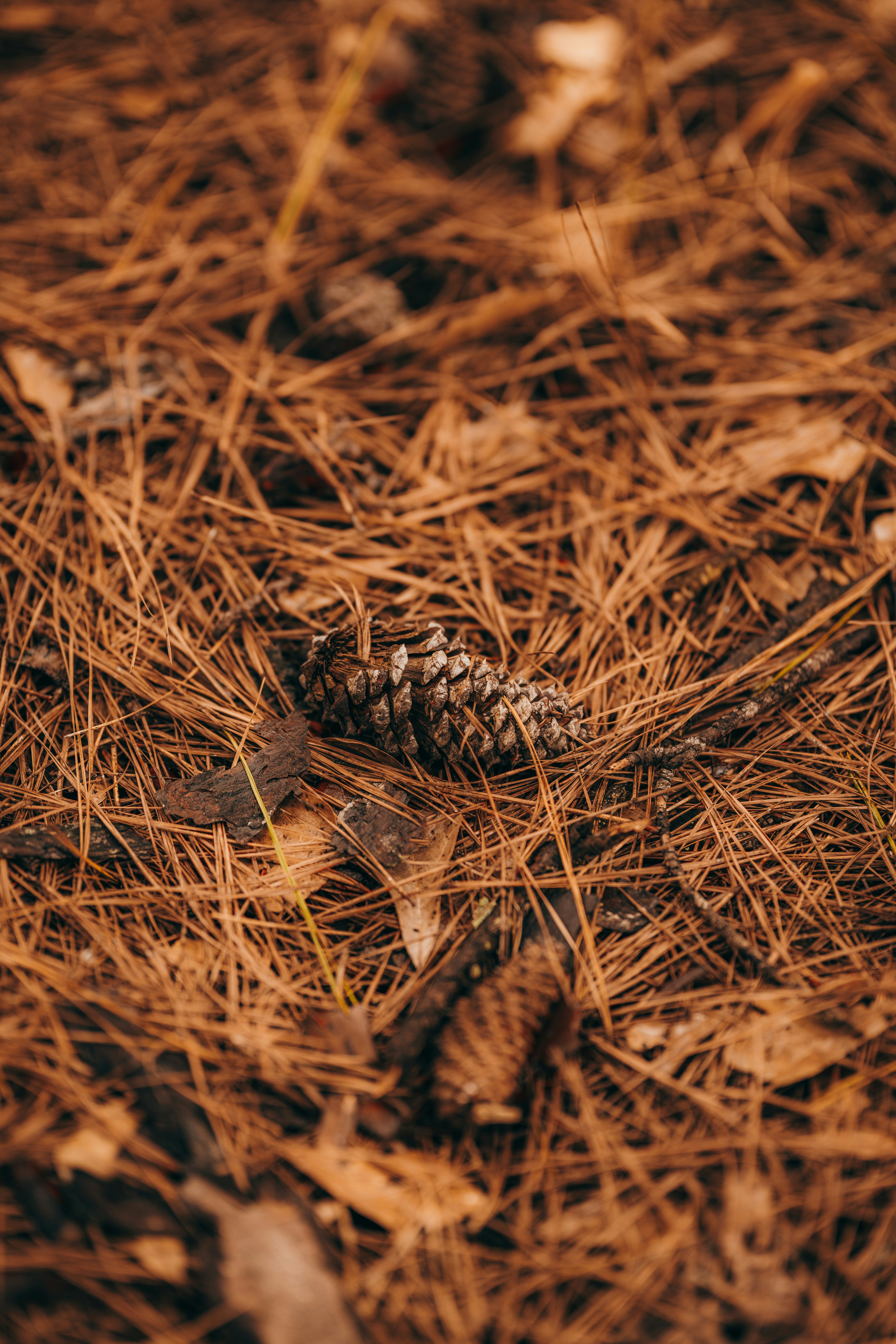 Photo by colemangloverphotography