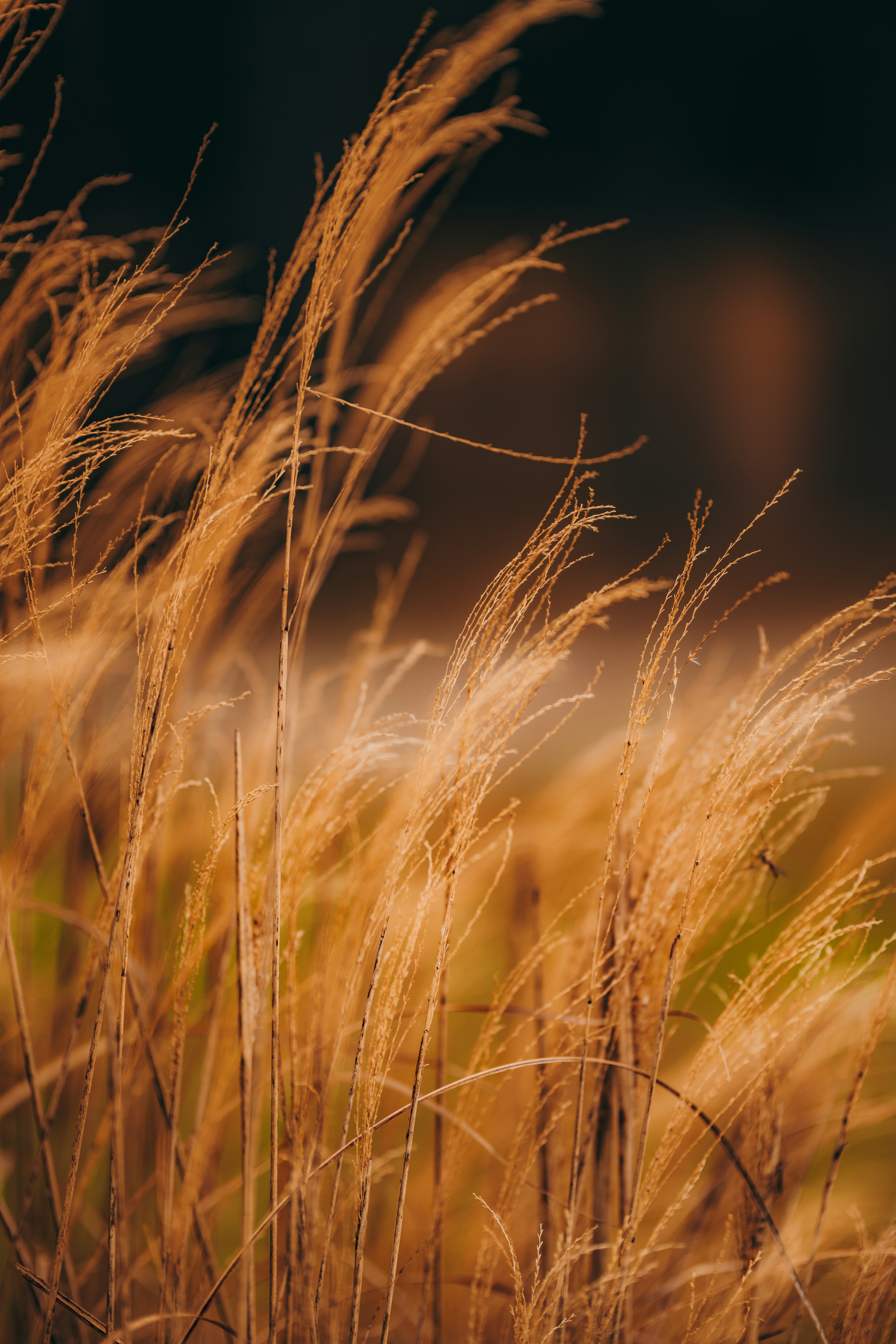 Photo by colemangloverphotography