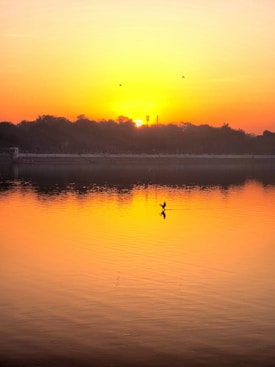 A serene sunset over a calm lake with a silhouette of a bird in flight is captured. The vibrant orange and yellow hues of the sky are reflected on the water surface, creating a soothing and warm atmosphere. Trees line the horizon, softly silhouetted against the glowing sky.
