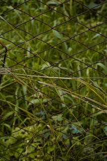 A variety of wire mesh fences displayed in a lush green outdoor setting.