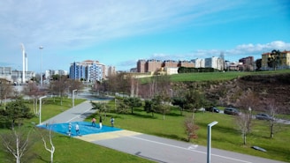Community members gathered in a local park discussing solutions under a bright sunny sky.