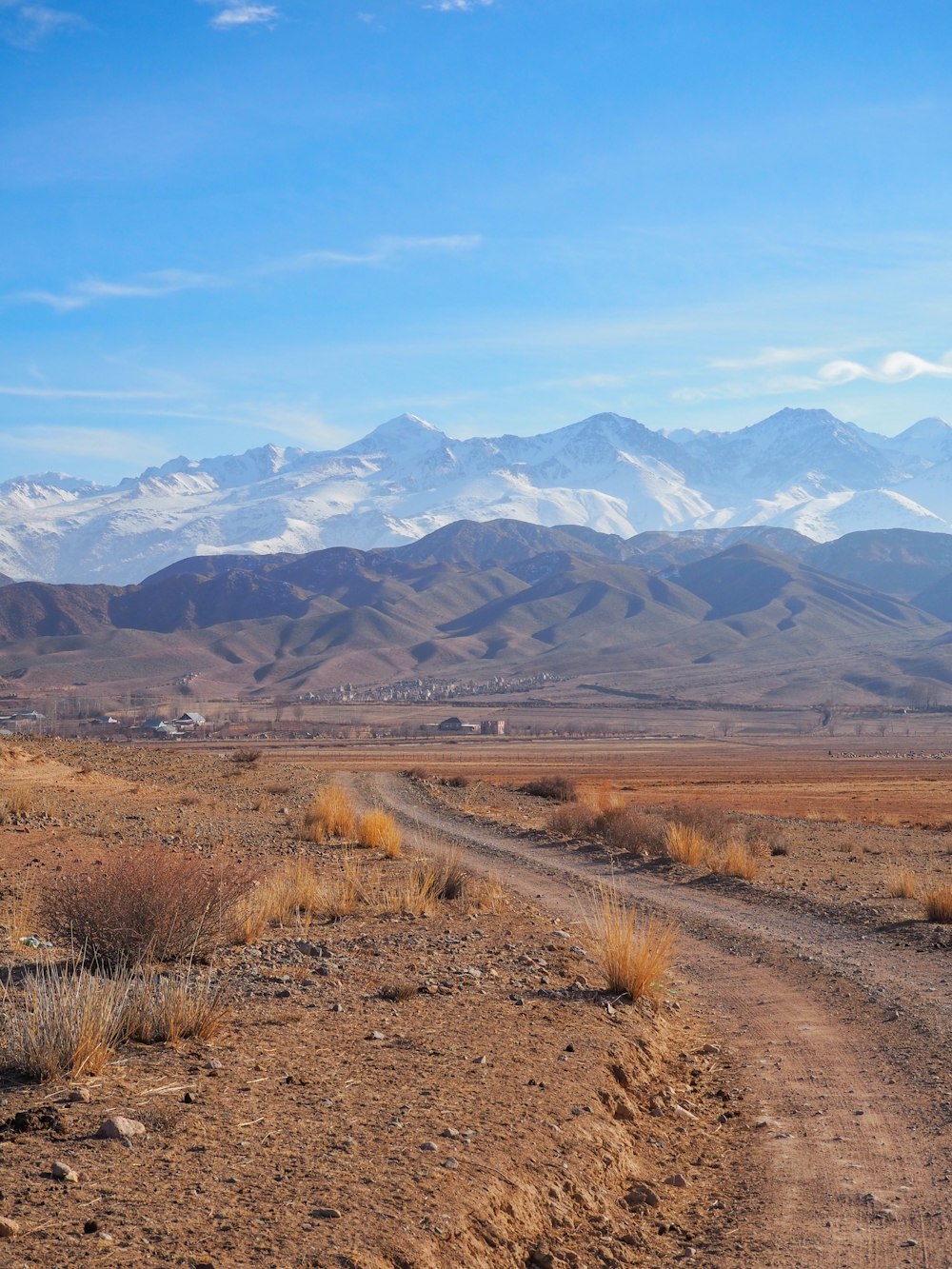 a dirt road in the middle of a desert