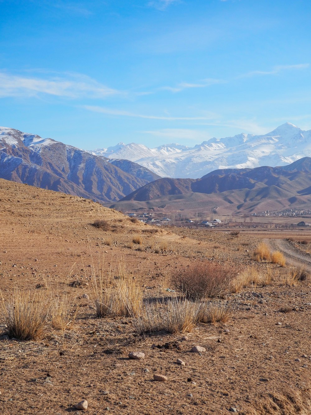 a dirt field with mountains in the background