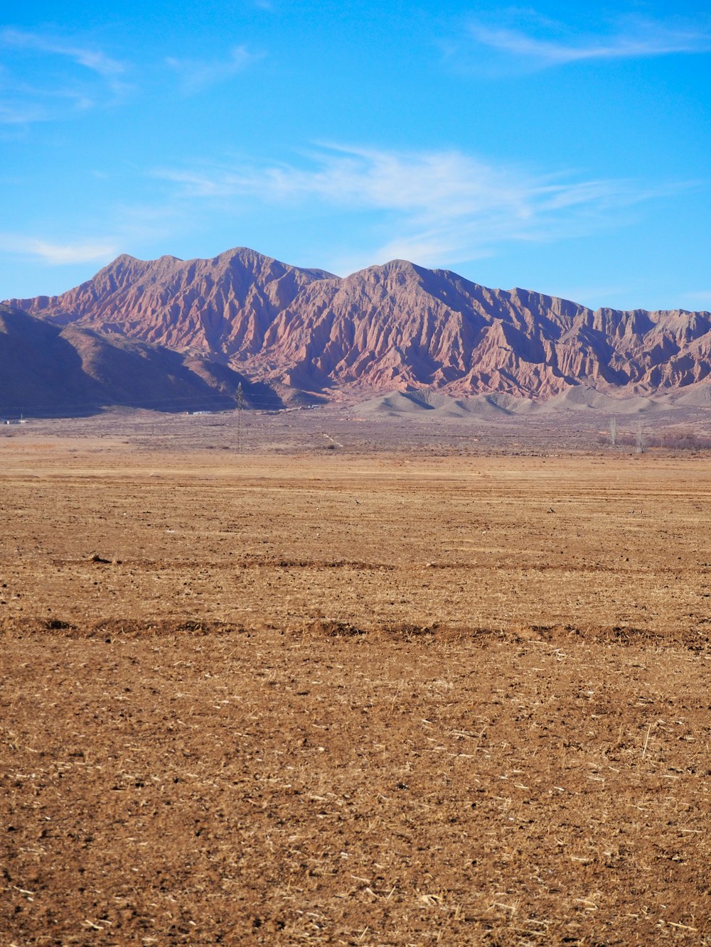 a lone horse standing in the middle of a desert