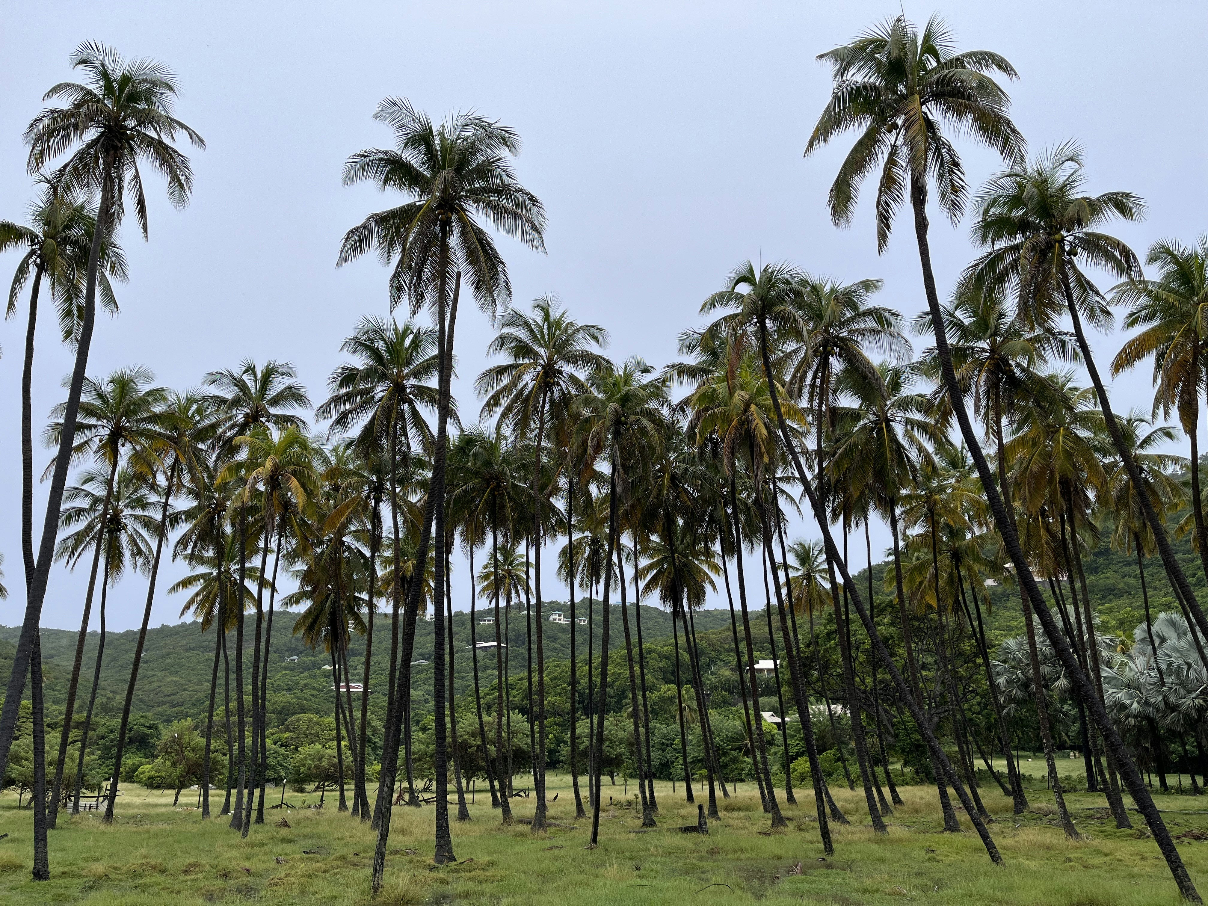 photo of Saint Vincent and the Grenadines