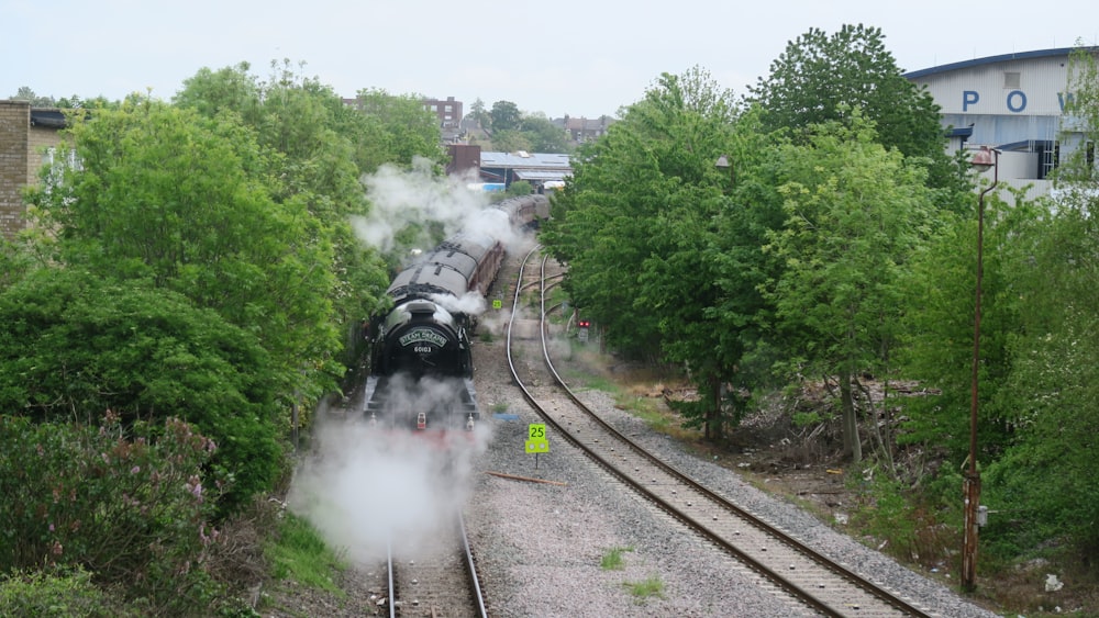 a steam engine train traveling through a lush green forest