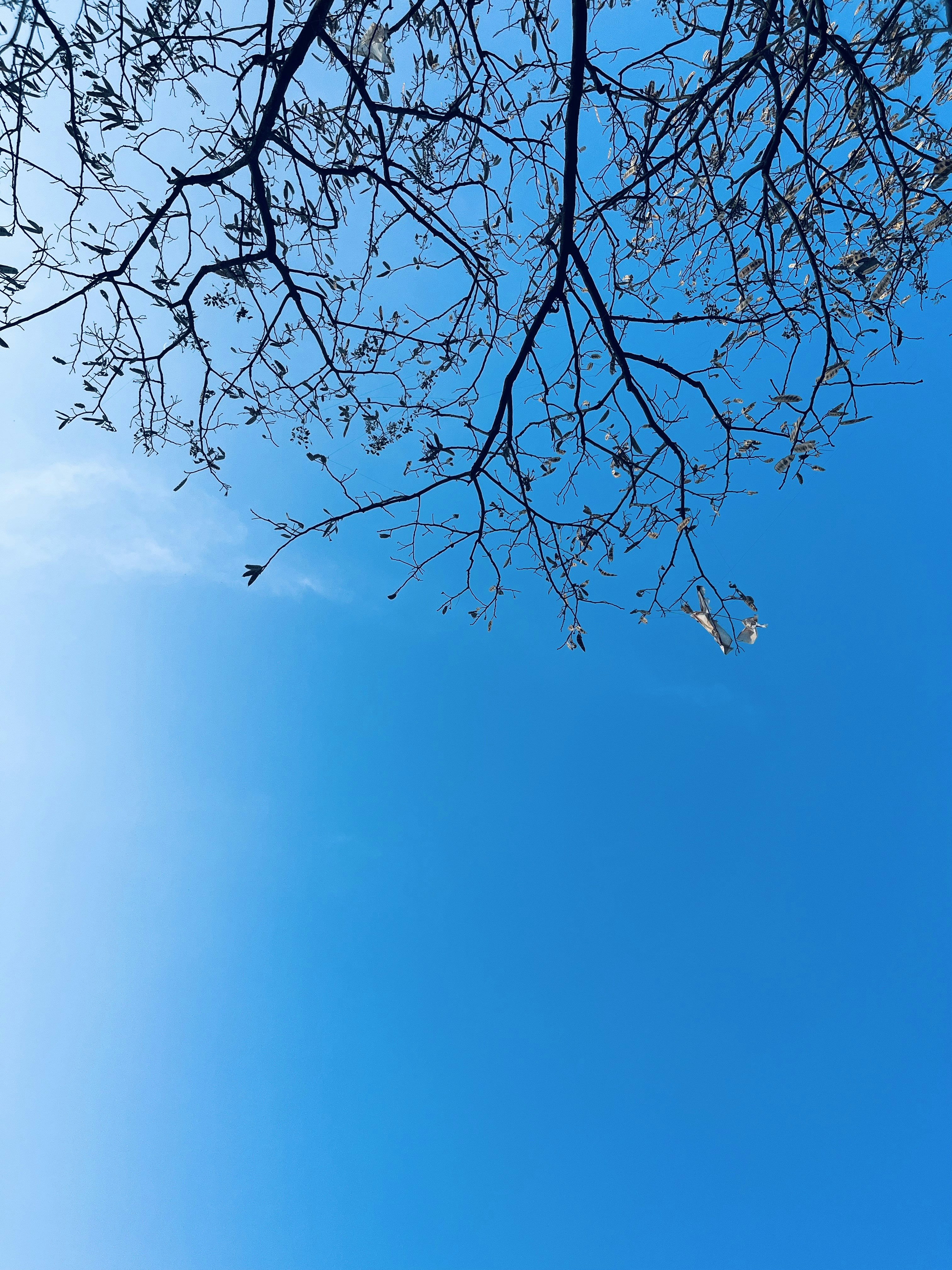 Photo by sherrysingh