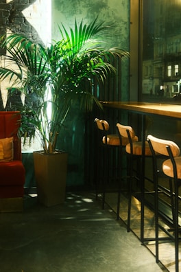 Cozy corner of the pub with modern furniture surrounded by hanging plants.