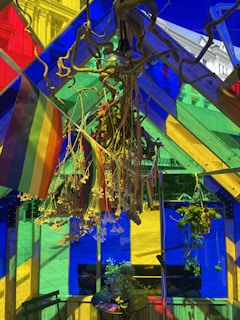 A cozy corner inside Pride Haven with colorful pride flags and warm lighting.