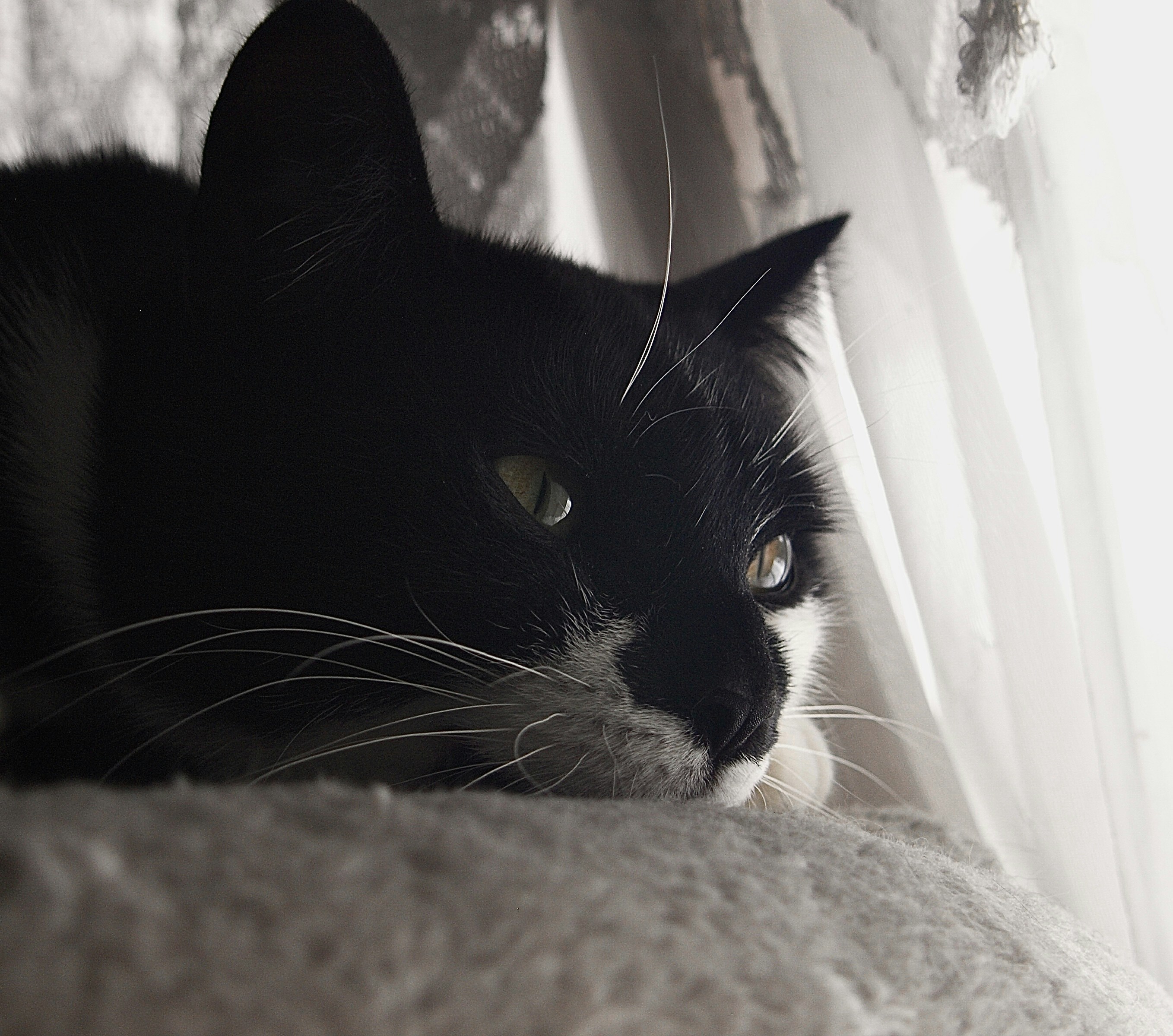 Photo by brooklynptgs