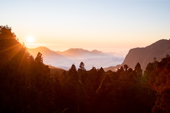 Sunrise over a mountain range with a layer of mist or clouds settled in the valleys. The sky displays hues of orange and yellow as the sun rises. Dark silhouettes of trees and forested areas are visible in the foreground while rugged mountain peaks are seen in the background.