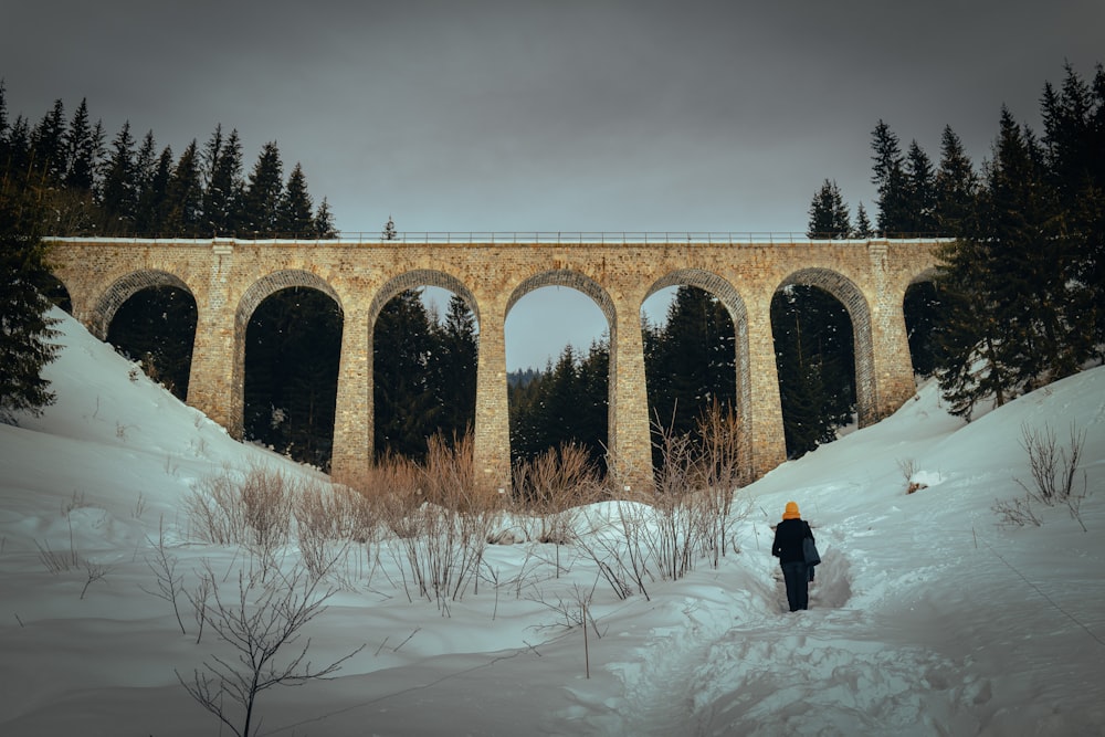 a person standing in the snow in front of a bridge