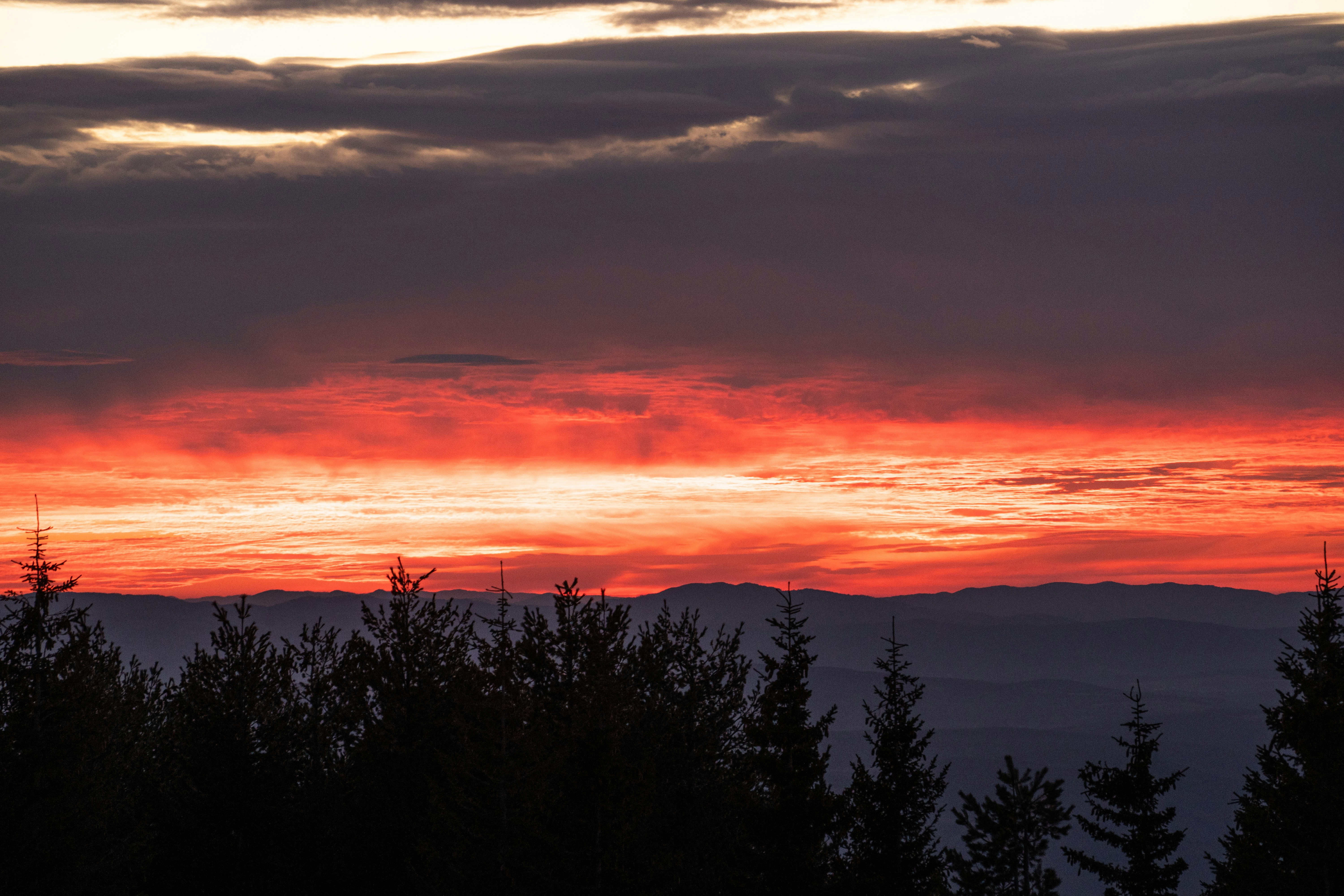 Photo by vencislavsh