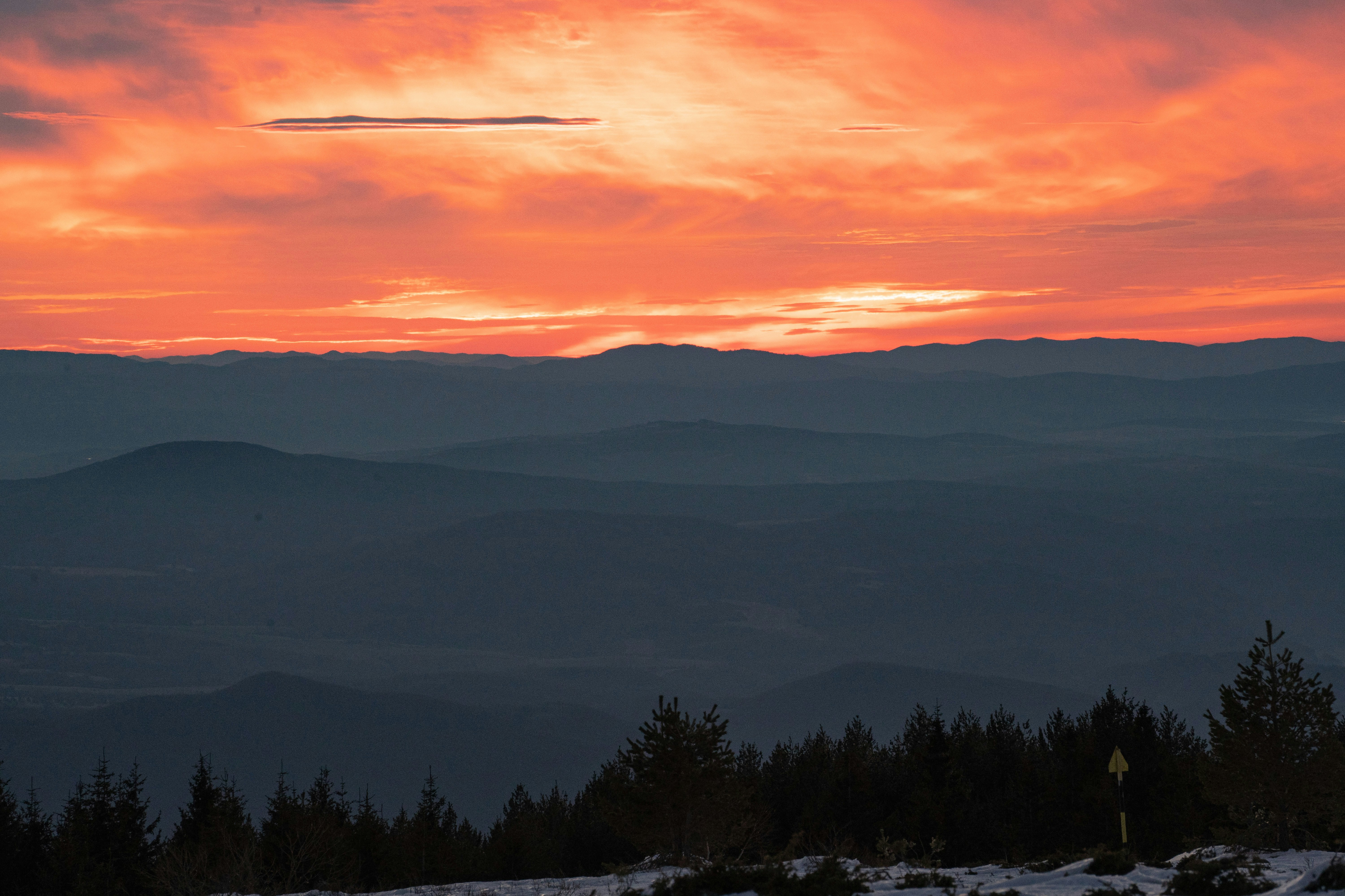 Photo by vencislavsh