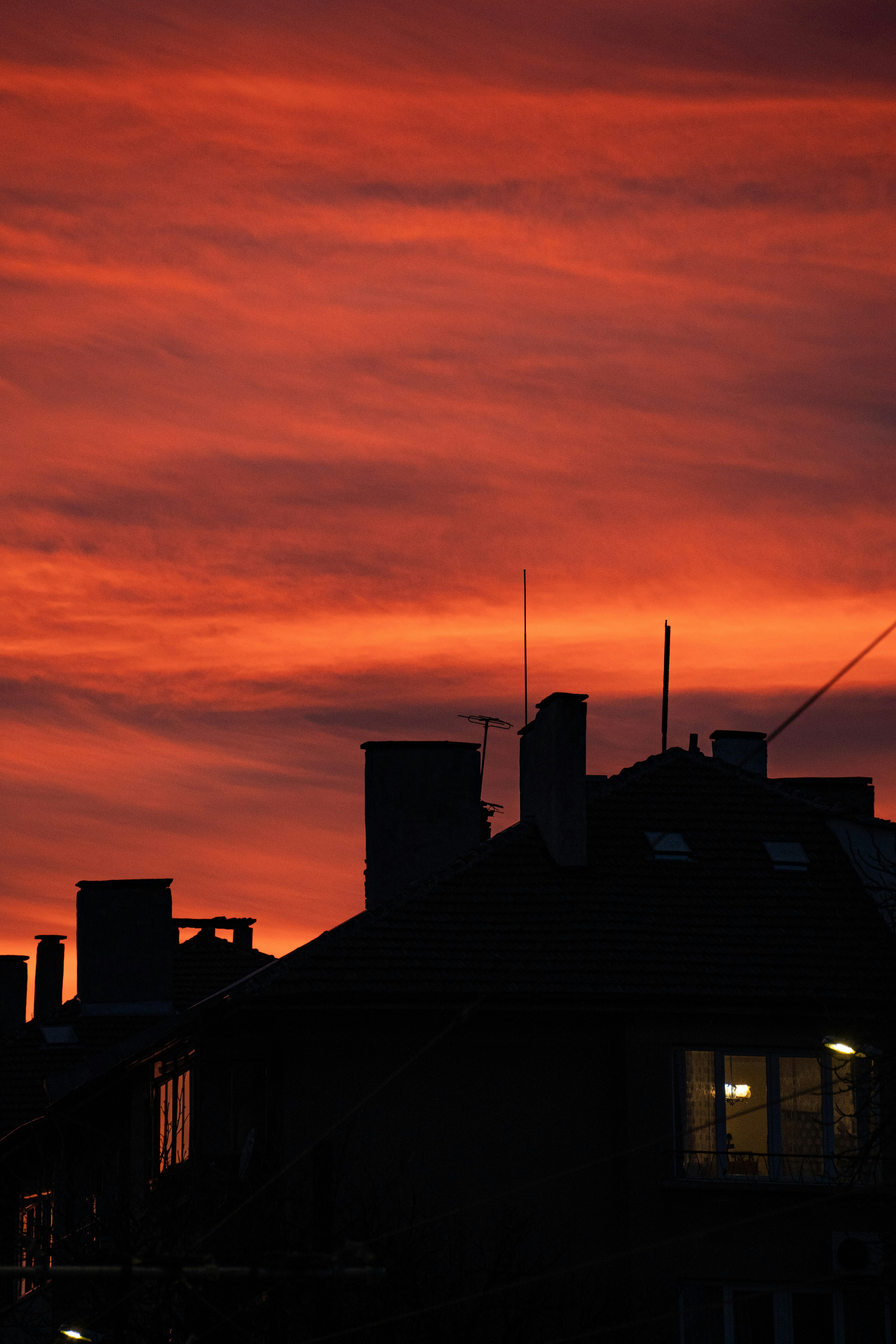 Photo by vencislavsh