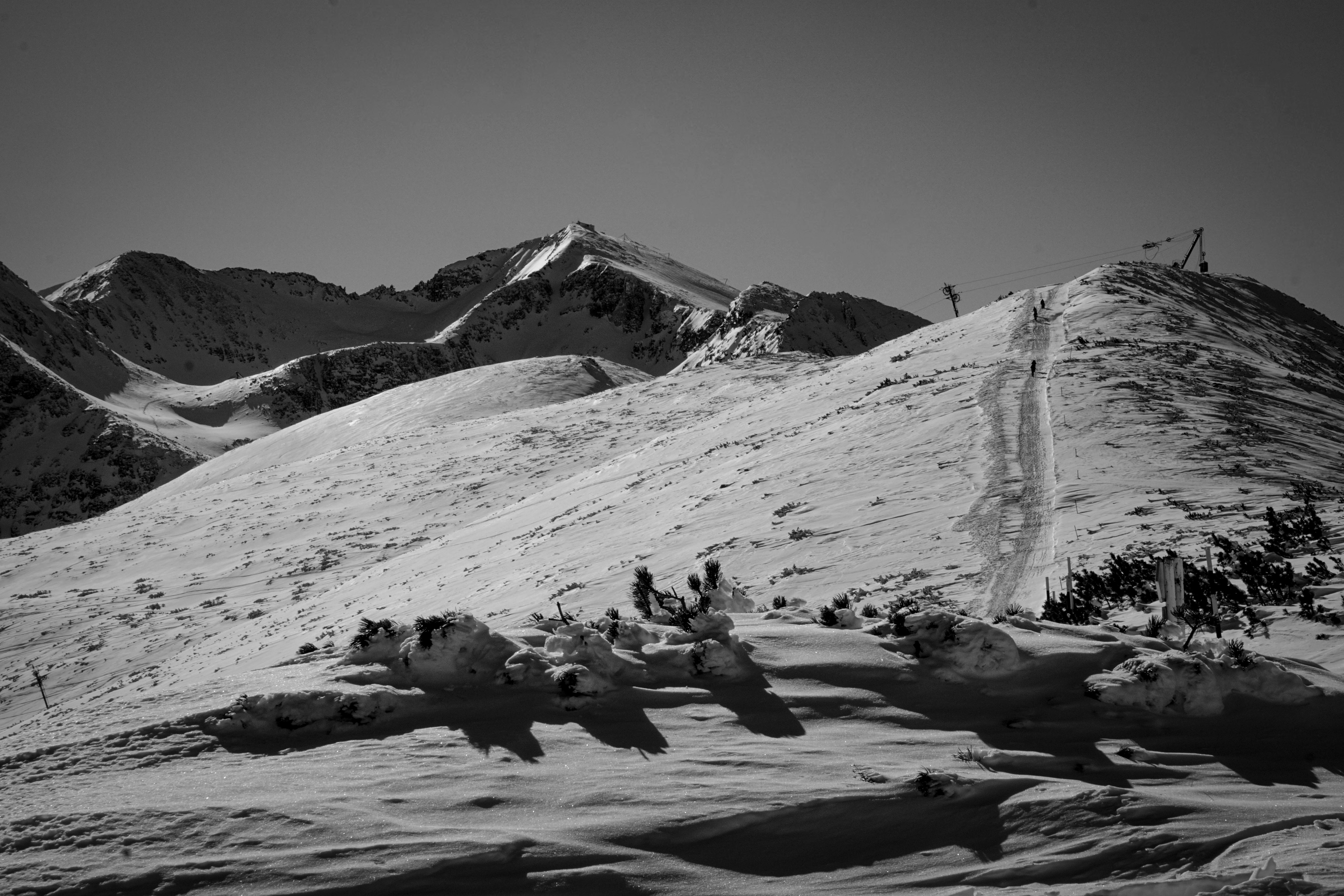 Photo by vencislavsh