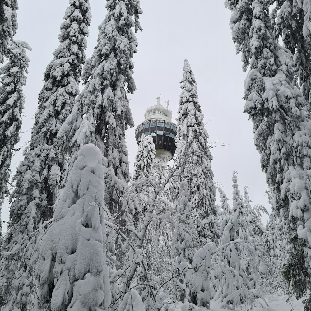 a tower in the middle of a forest covered in snow