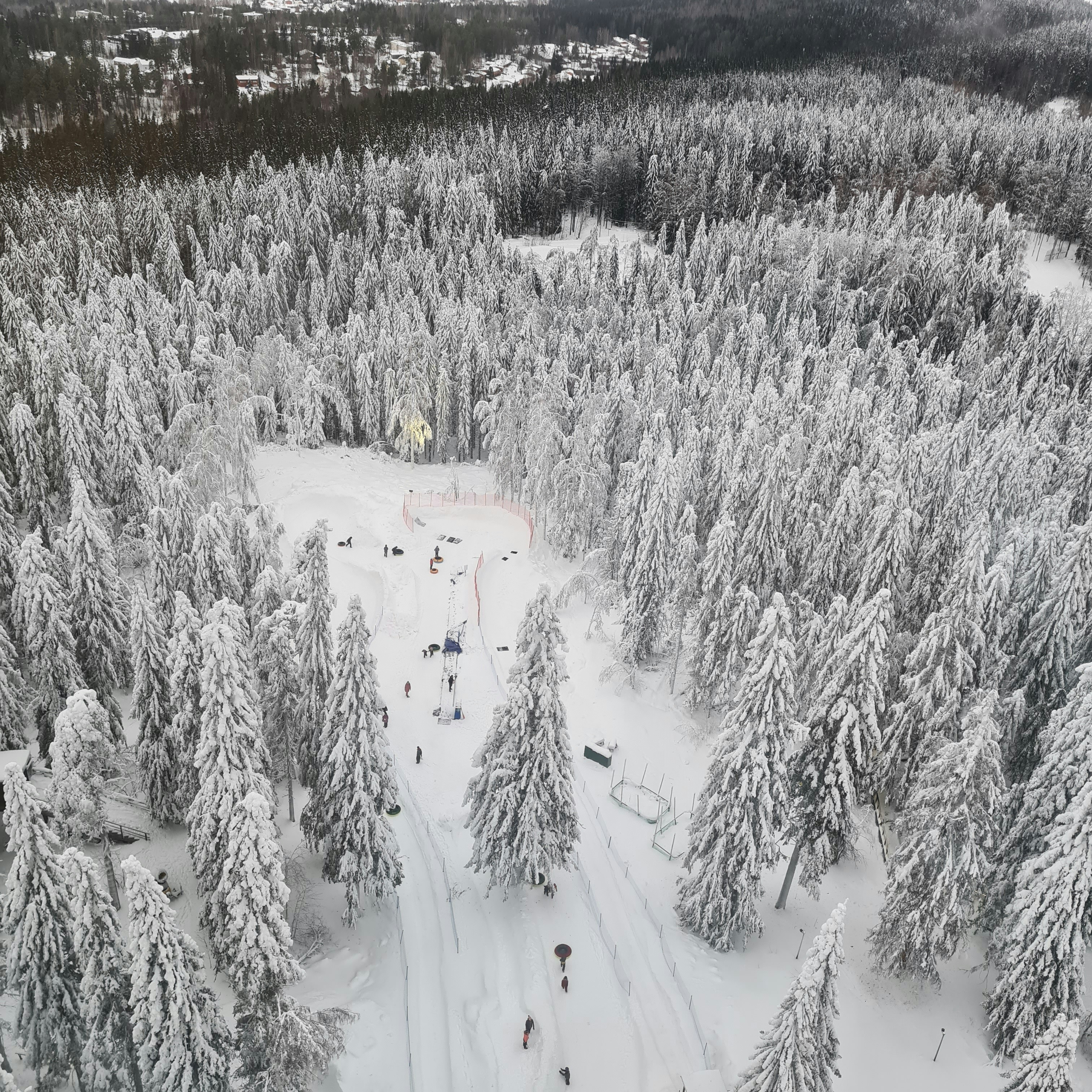 an aerial view of a snow covered forest