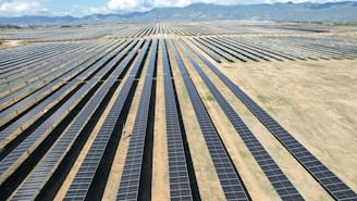 a large field of solar panels in the desert