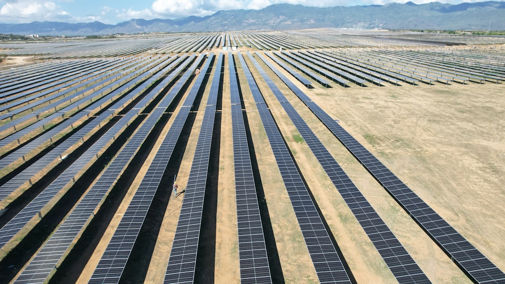 um grande campo de painéis solares no deserto