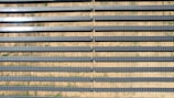 An array of long, parallel rows of solar panels is arranged on a barren, sandy landscape. The panels are aligned neatly, with sunlight reflecting off some of them, creating a shimmering effect. Sparse patches of green are visible between the rows, highlighting the arid environment.
