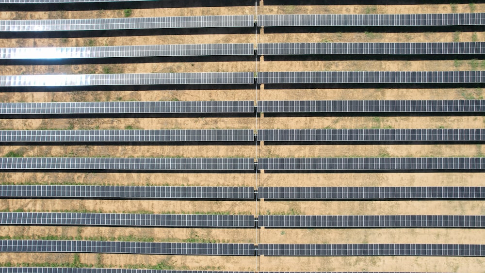 uma fileira de fileiras de painéis solares em um campo