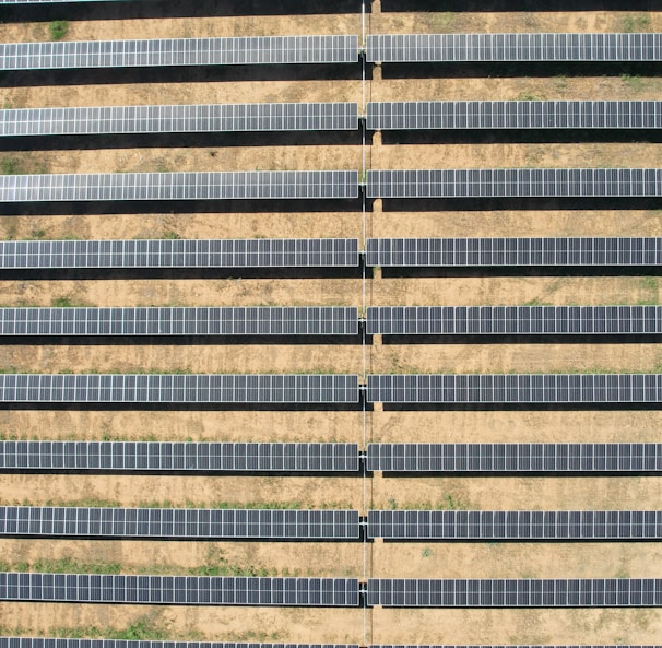 a row of rows of solar panels in a field